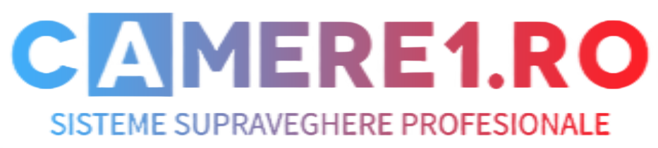 logo Sistem supraveghere
