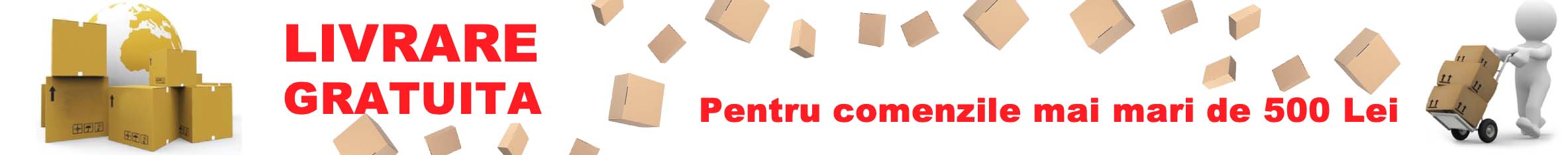 camere1.ro-camere-supraveghere-ofera-livrare-gratuita-1